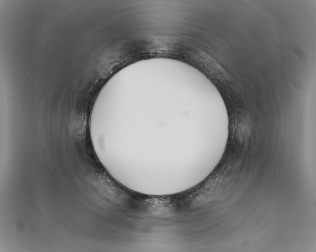 X0000111210660200907291253