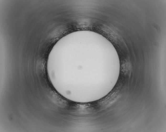 X0000111210662200907291253