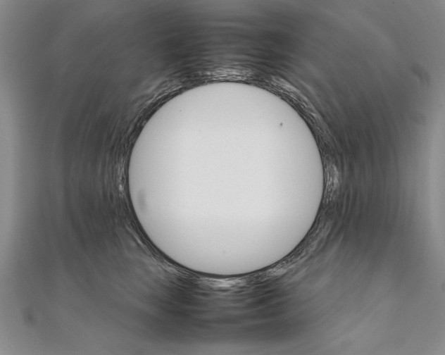 X0000111210663200907291253