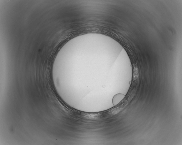 X0000111210664200907291253