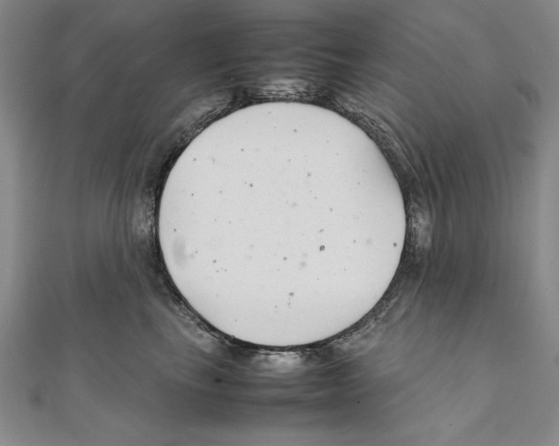 X0000111210665200907291253