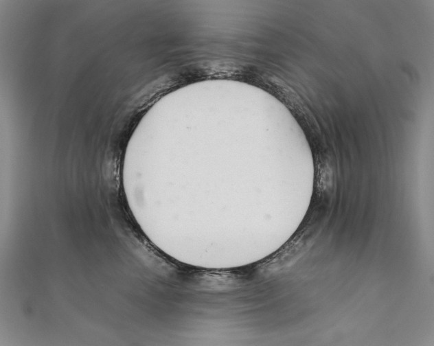 X0000111210666200907291253