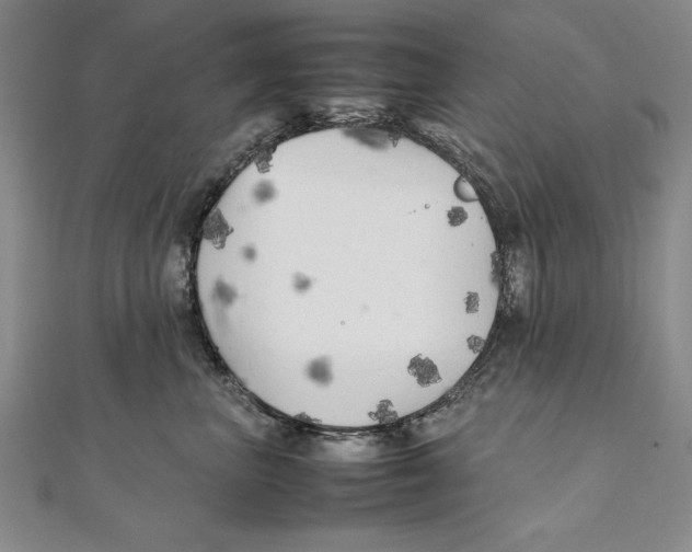 X0000111210667200907291253