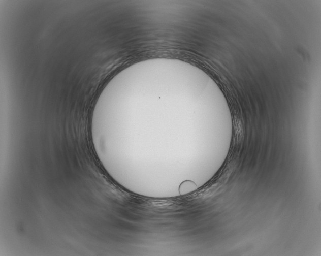 X0000111210668200907291253