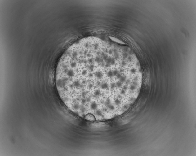 X0000111210669200907291253