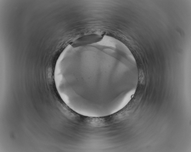 X0000111210670200907291253