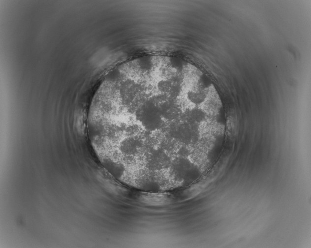 X0000111210671200907291253