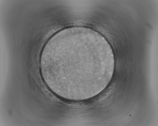 X0000111210673200907291252