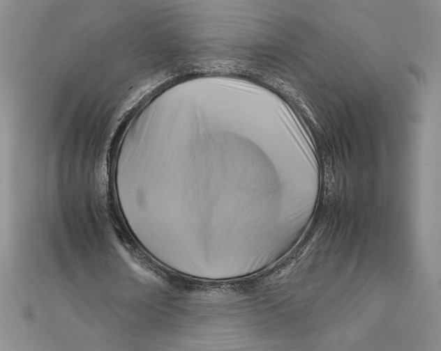 X0000111210674200907291252