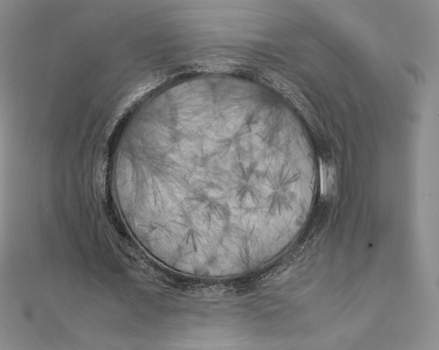 X0000111210675200907291252