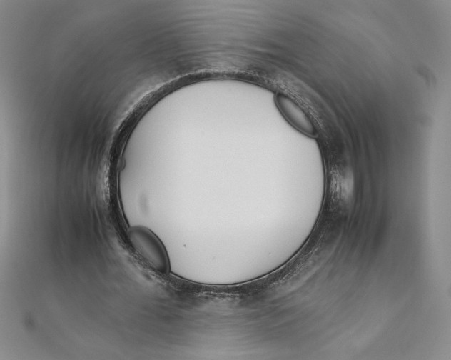 X0000111210676200907291252