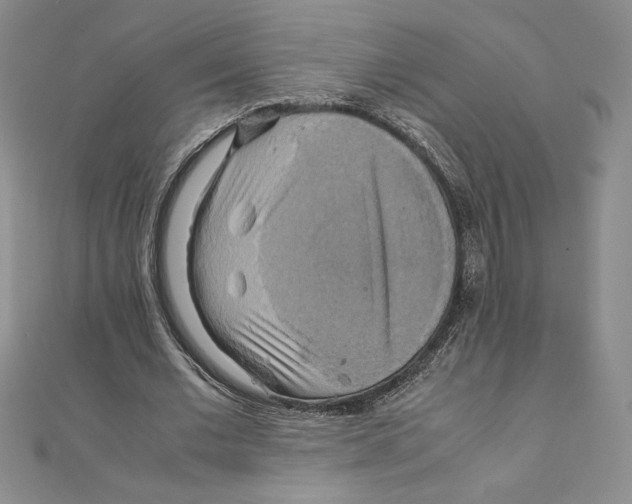 X0000111210677200907291252