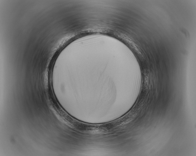 X0000111210678200907291252