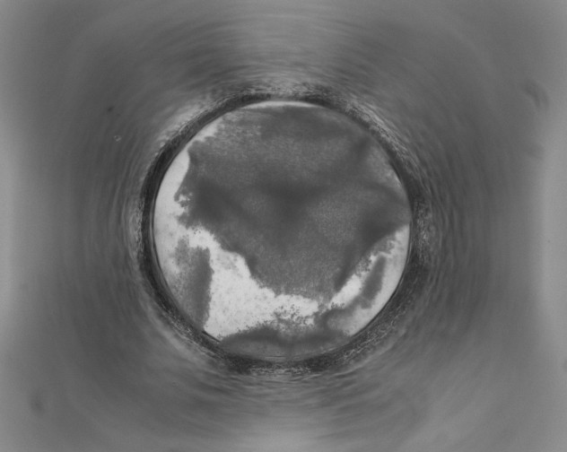 X0000111210679200907291252