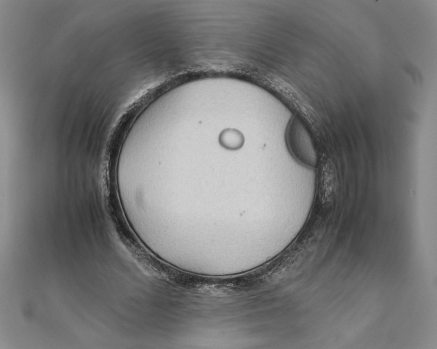 X0000111210680200907291252