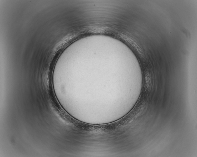 X0000111210682200907291252