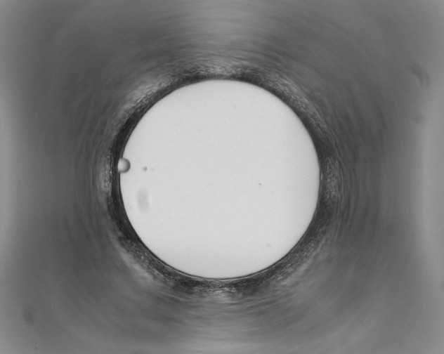 X0000111210683200907291252