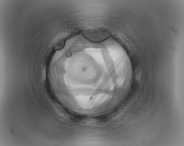 X0000111210685200907291252