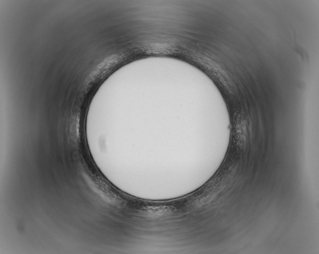 X0000111210686200907291252