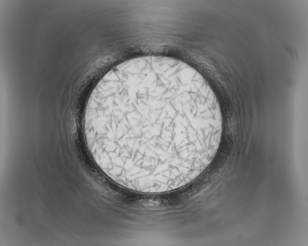 X0000111210687200907291252