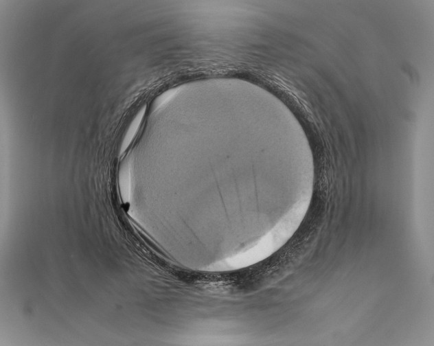 X0000111210689200907291252