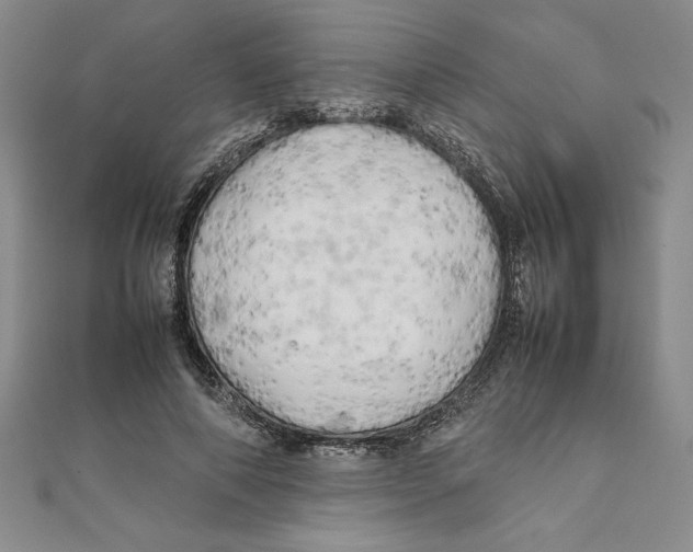 X0000111210690200907291252