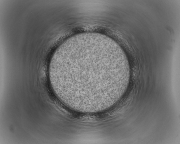 X0000111210691200907291252