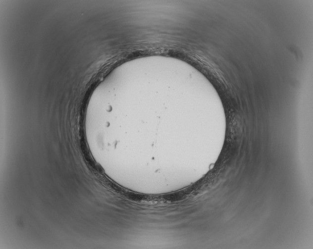 X0000111210693200907291252