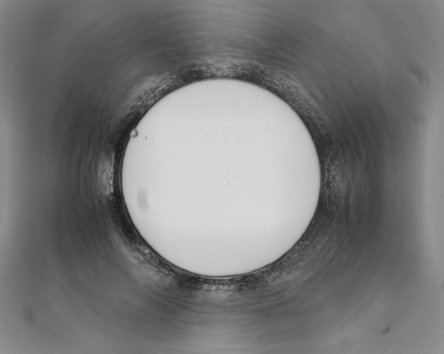 X0000111210694200907291252