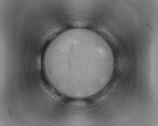 X0000111210696200907291252