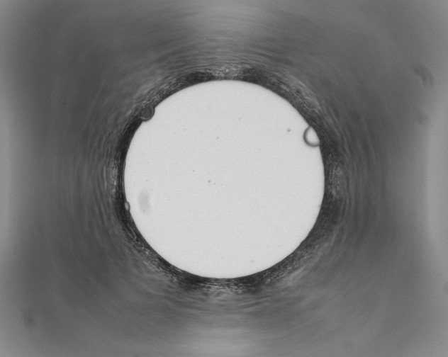 X0000111210697200907291251