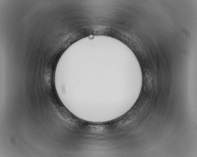 X0000111210698200907291251