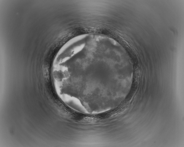 X0000111210699200907291251