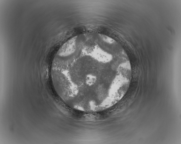 X0000111210703200907291251