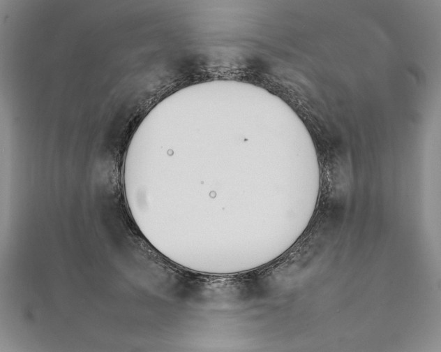 X0000111210705200907291251