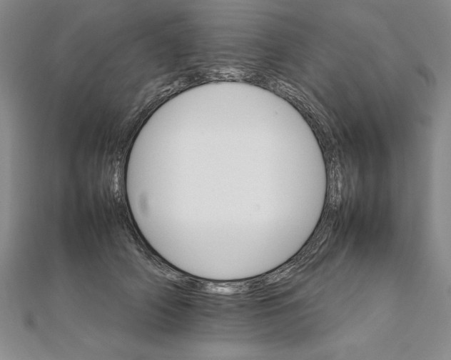 X0000111210706200907291251