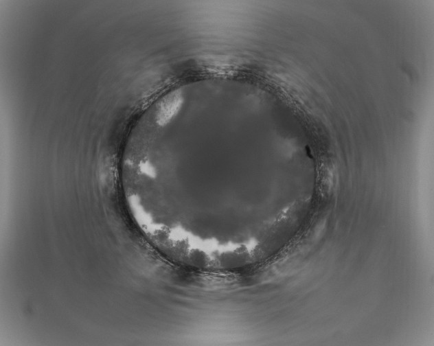 X0000111210707200907291251