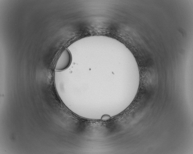 X0000111210709200907291251