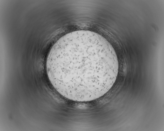 X0000111210710200907291251
