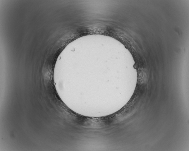 X0000111210713200907291251