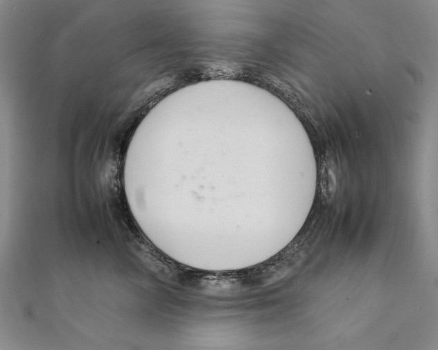 X0000111210714200907291251