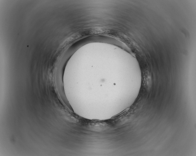 X0000111210716200907291251