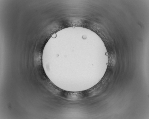 X0000111210717200907291251