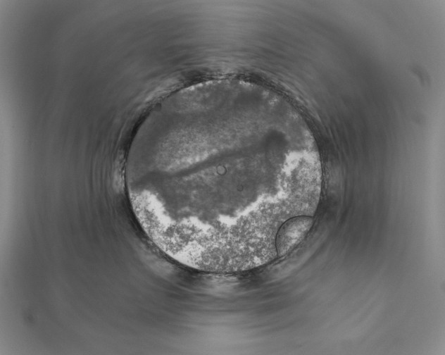 X0000111210719200907291251