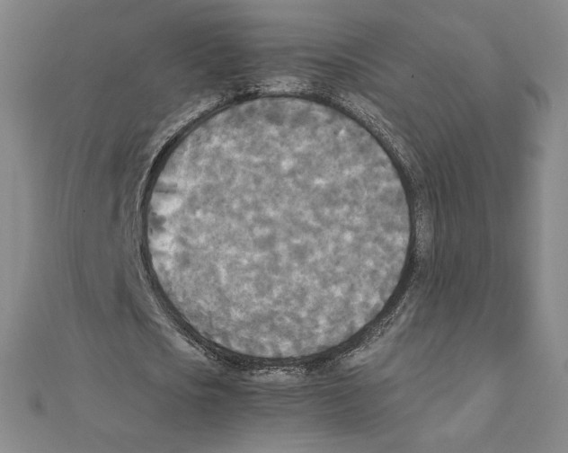 X0000111210721200907291250