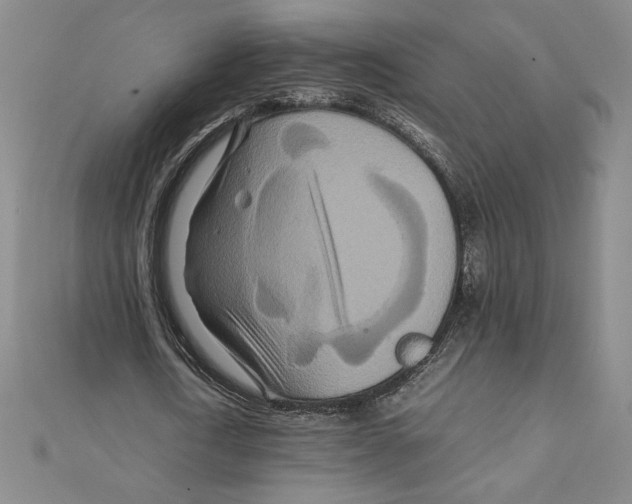 X0000111210722200907291251