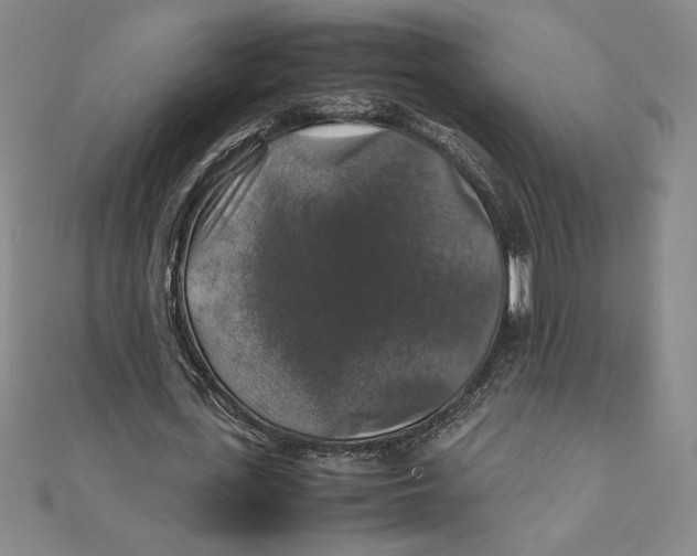 X0000111210723200907291251