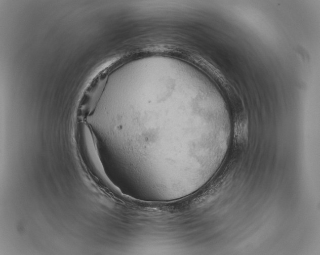 X0000111210724200907291251