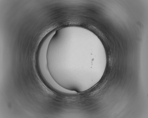 X0000111210725200907291251