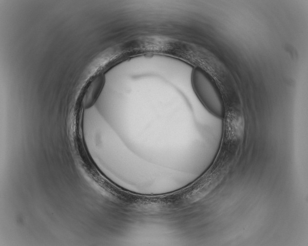 X0000111210726200907291251